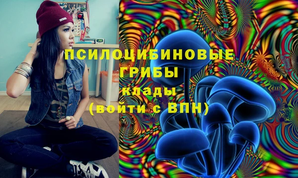 ГАЛЛЮЦИНОГЕННЫЕ ГРИБЫ Лабытнанги