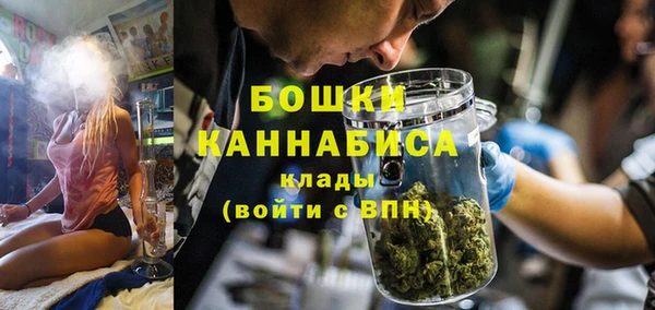 ГАЛЛЮЦИНОГЕННЫЕ ГРИБЫ Лабытнанги