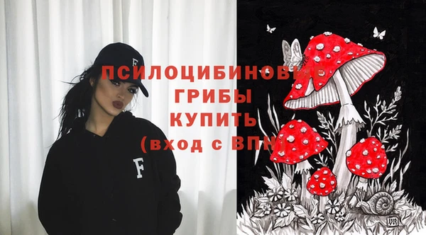 mdpv Лагань