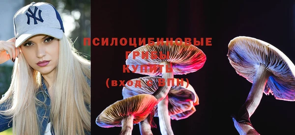ГАЛЛЮЦИНОГЕННЫЕ ГРИБЫ Лабытнанги