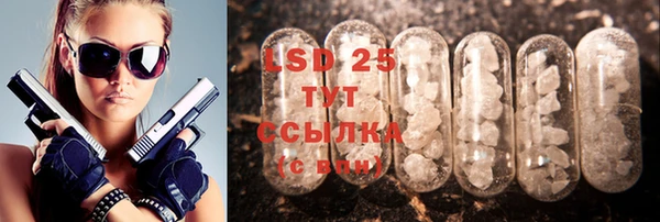 ГАЛЛЮЦИНОГЕННЫЕ ГРИБЫ Лабытнанги