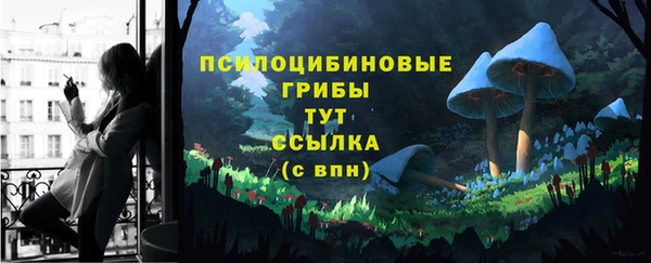 ГАЛЛЮЦИНОГЕННЫЕ ГРИБЫ Лабытнанги