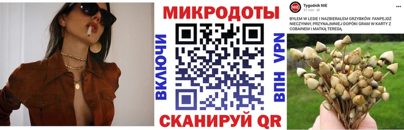 Псилоцибиновые грибы GOLDEN TEACHER Белогорск